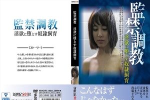 【モザイク】AD-00395